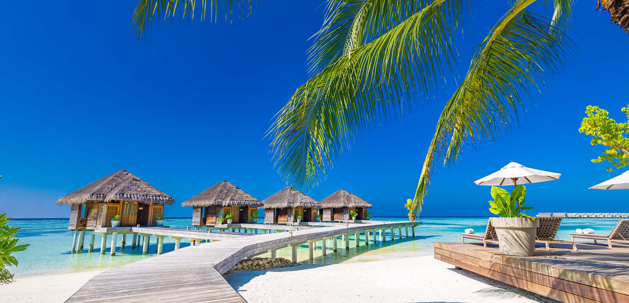 Luxury,Hotel,With,Water,Villas,And,Palm,Tree,Leaves,Over Tropical beach resort with overwater bungalows, white sand, and turquoise lagoon under clear blue sky