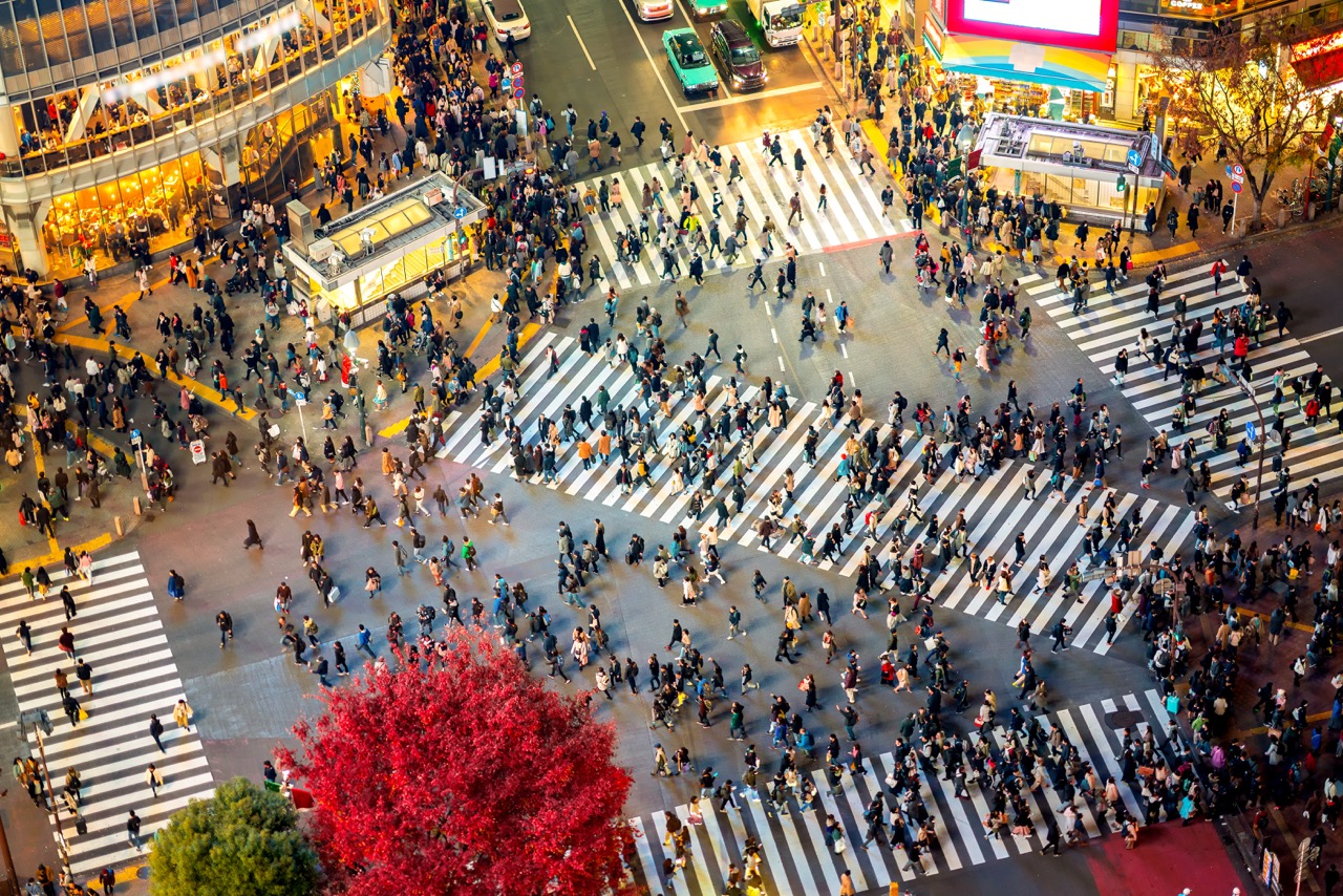 Shibuya Crossing from top view Aerial view of Shibuya Crossing with hundreds of pedestrians crossing multiple zebra crossings simultaneously, red tree in foreground