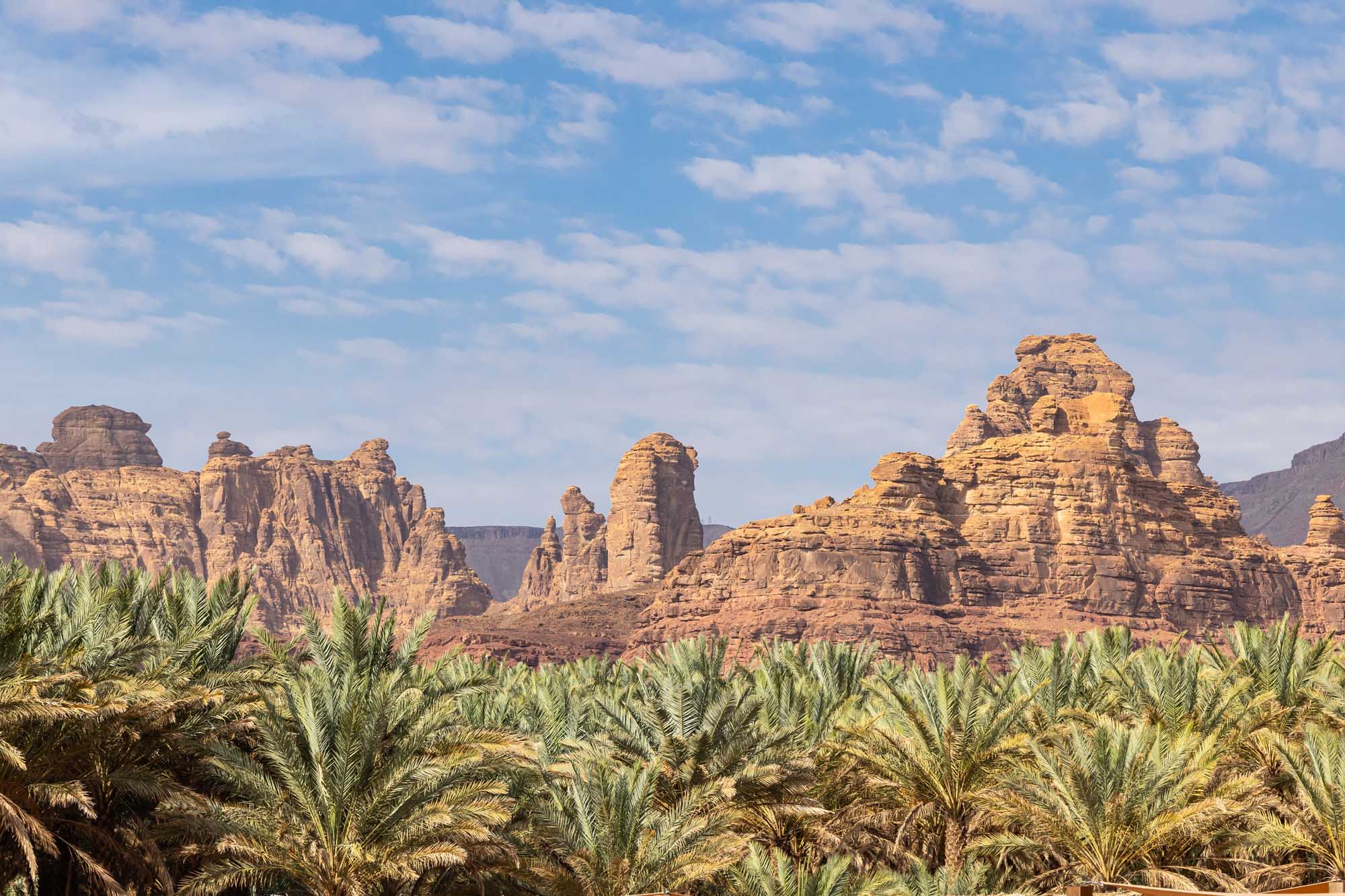 Dramatic sandstone rock formations rise majestically above a lush date palm oasis in the Al-Ula