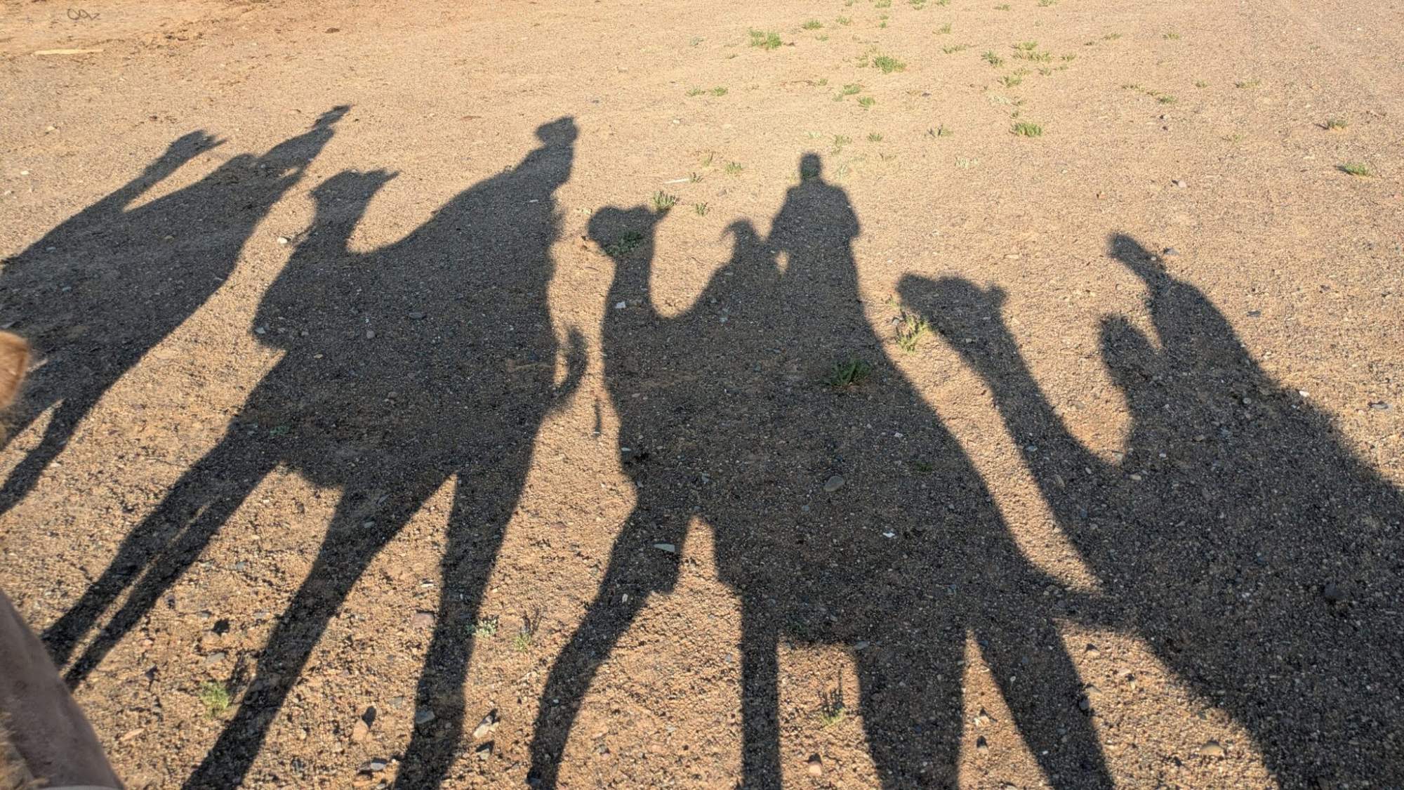 Shadows of a group of people cast on sandy, arid ground with sparse desert vegetation. The image